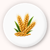 Wheat