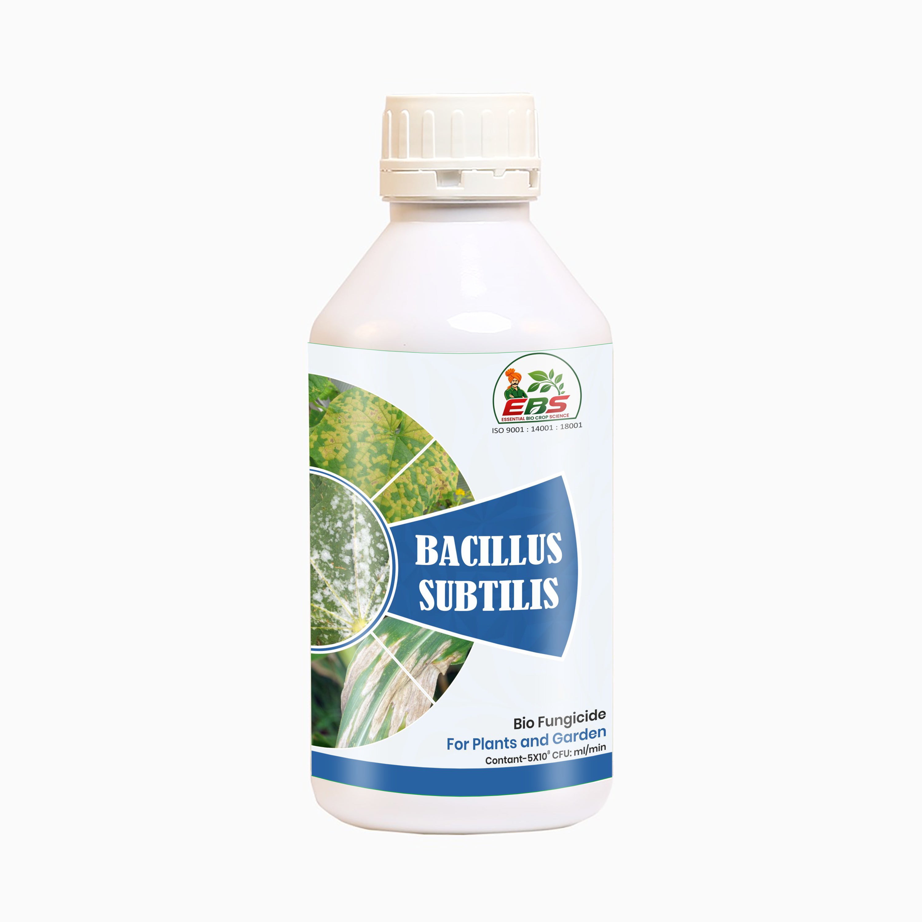 Bacillus Subtilis - Bio Fungicide
