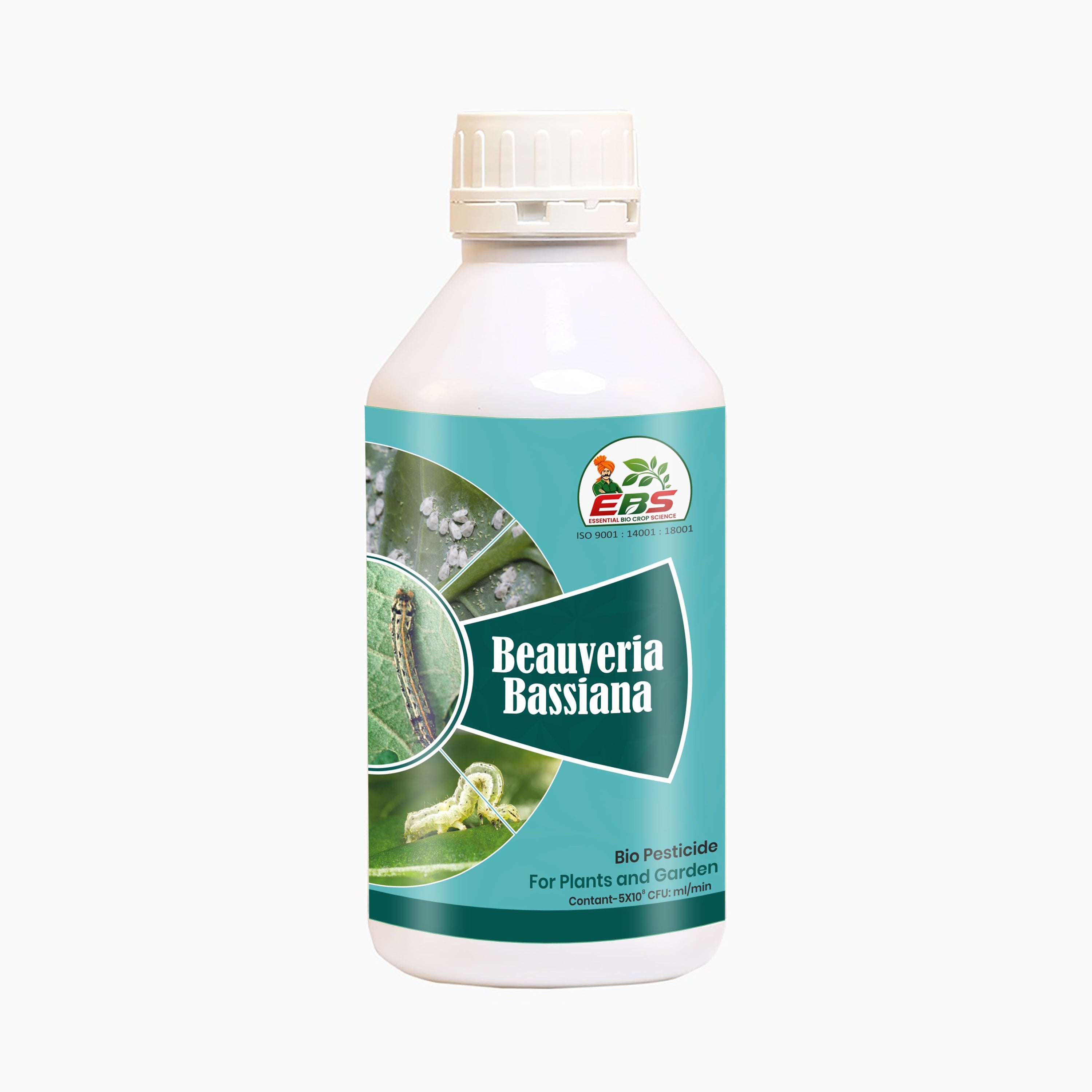 Beauveria Bassiana Bio Pesticide
