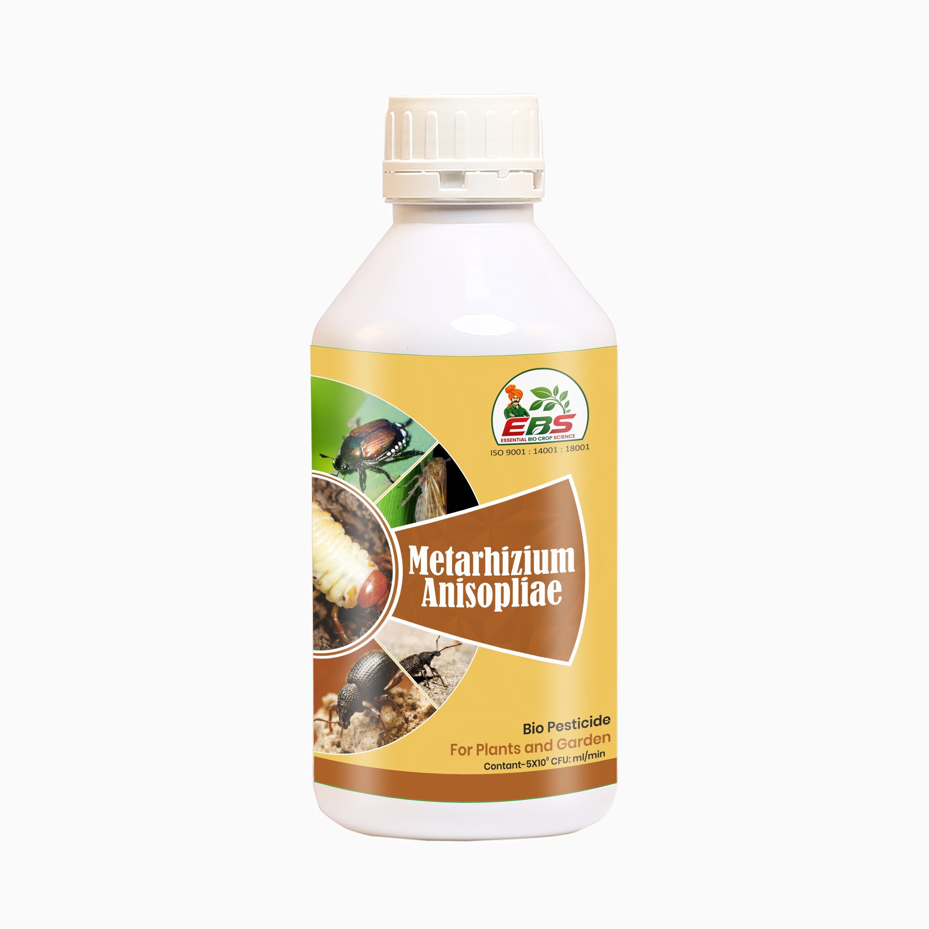 Metarhizium Anisopliae Bio Pesticide