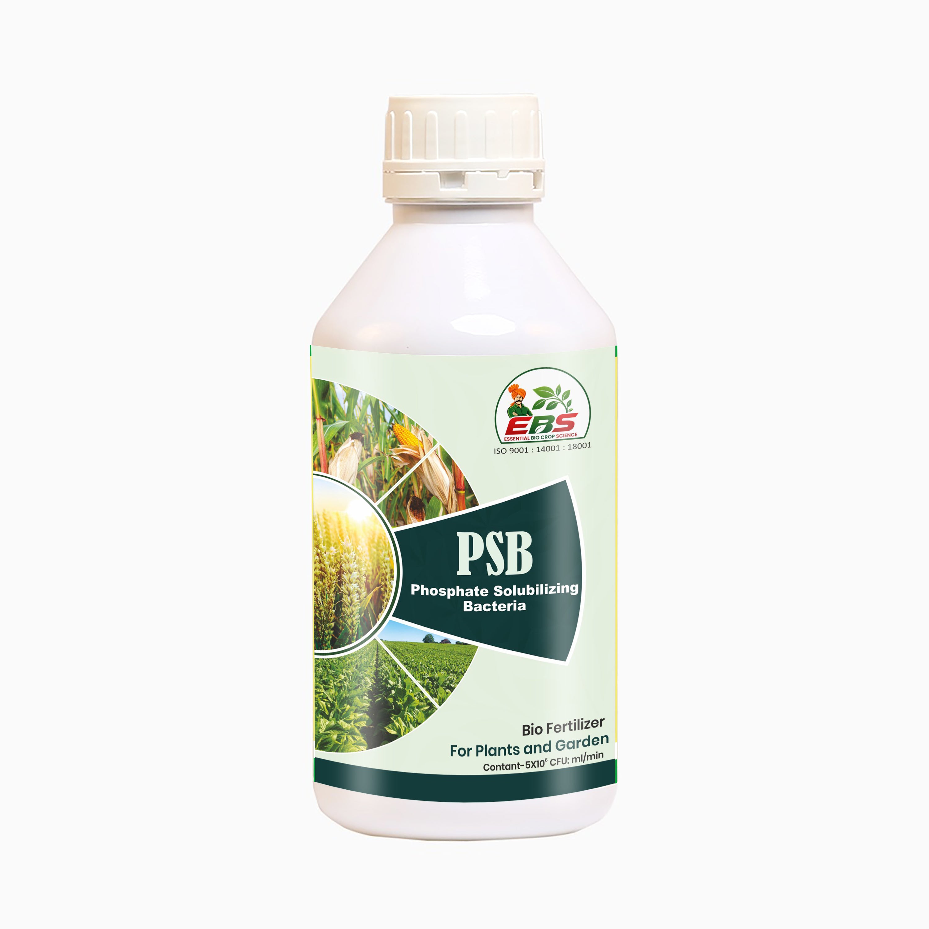 PSB - Phosphate Solubilizing Bacteria Bio Fertilizer