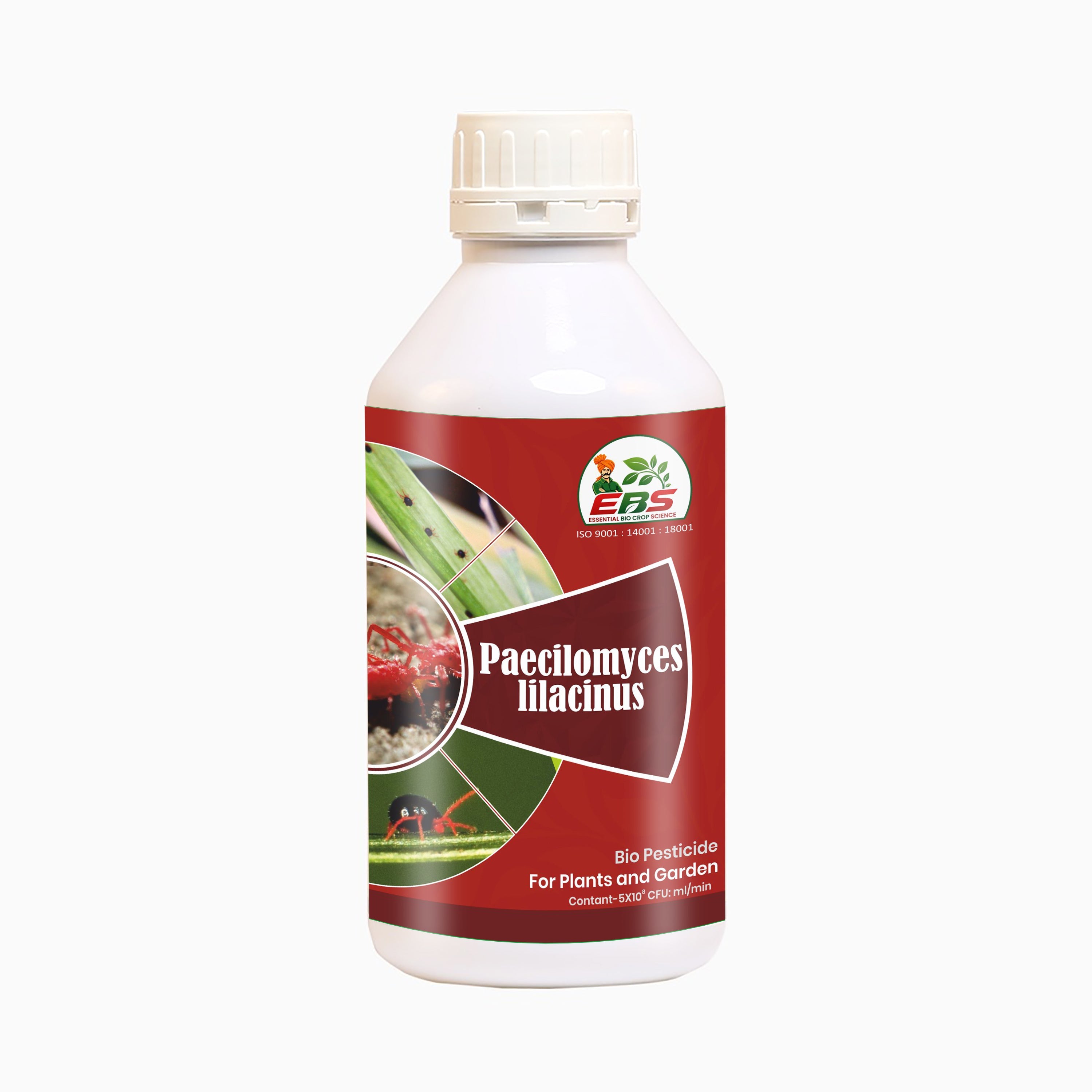 Paecilomyces Lilacinus Bio Pesticide