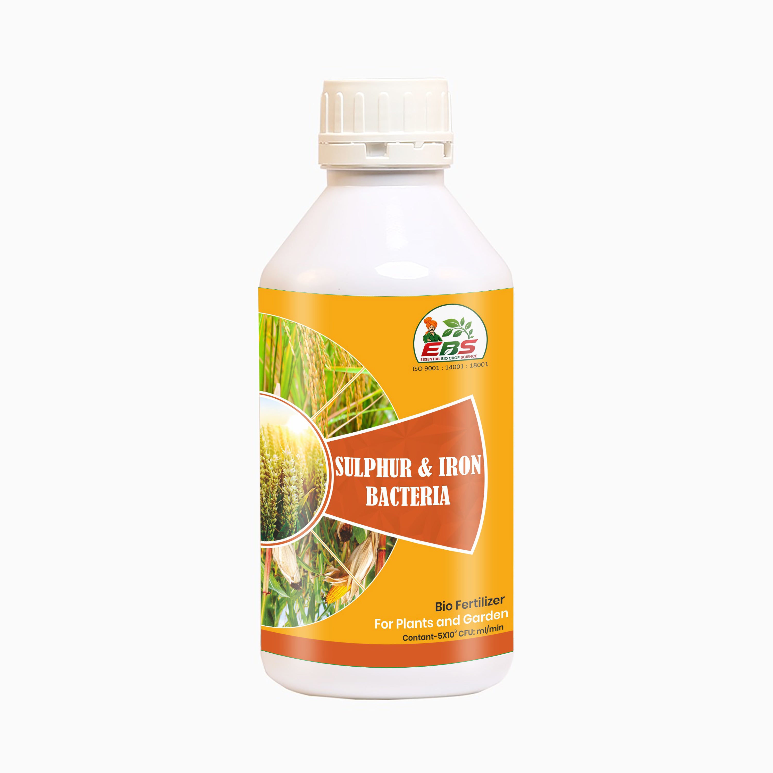 Sulphur & Iron Bacteria - Bio Fertilizer