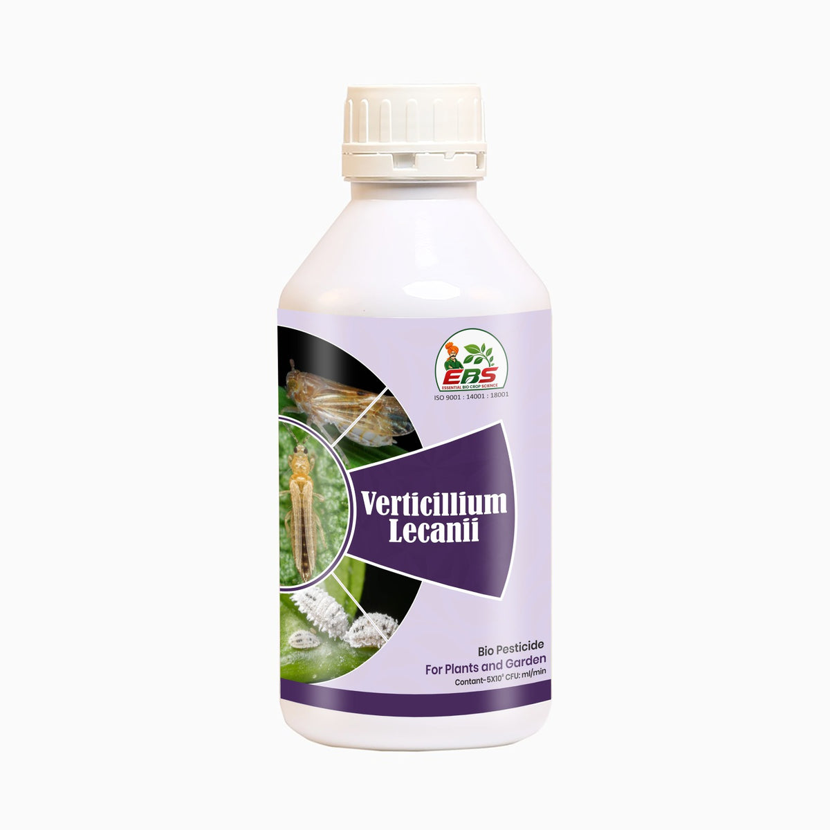 Ebs - Verticillium Lecanii Bio Pesticide